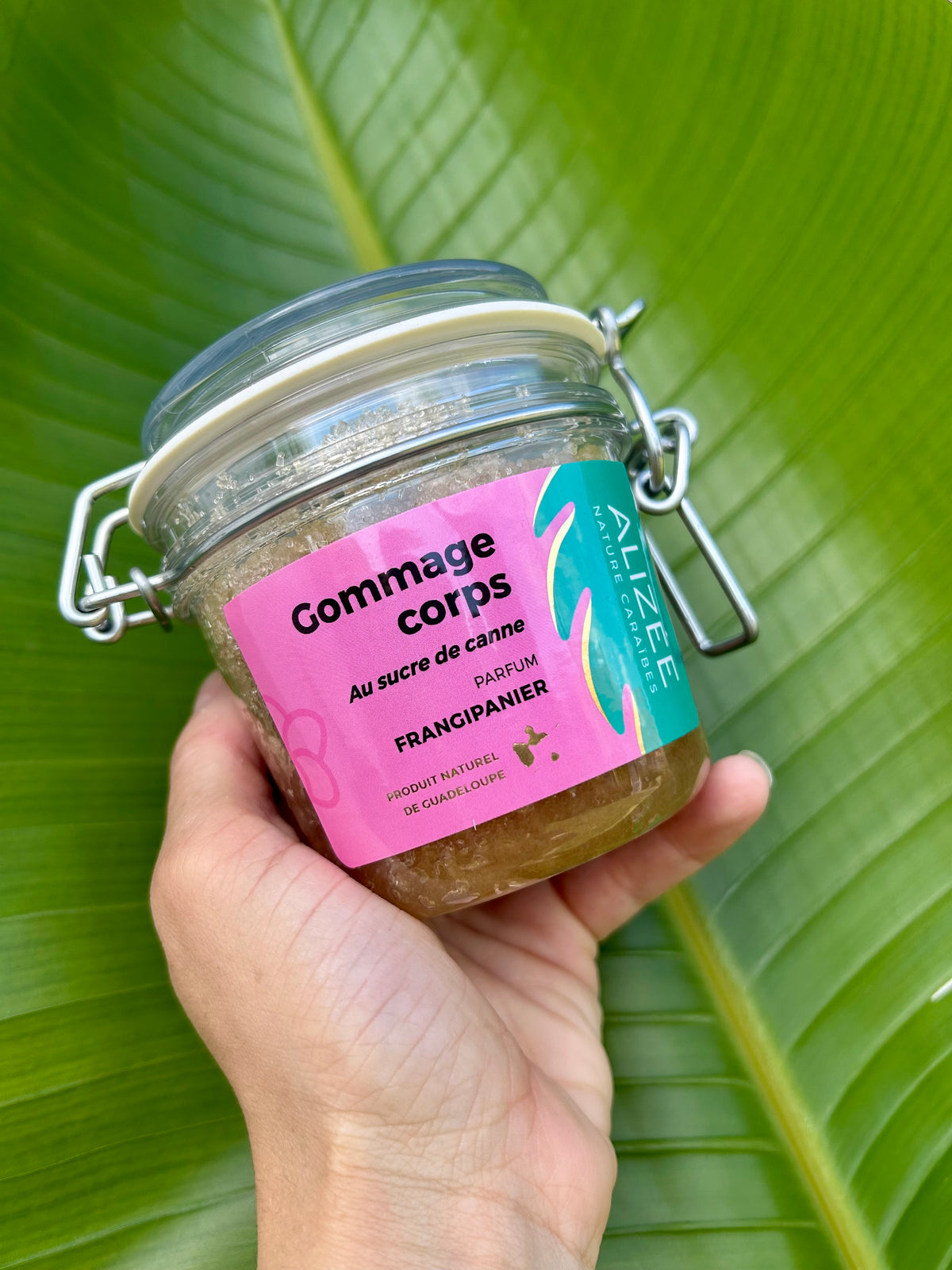 Gommage au sucre de canne parfum frangipanier de Guadeloupe 250ML